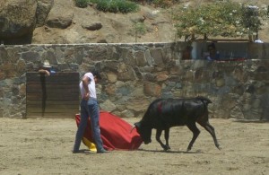 FOTOS Y VIDEO: PABLO JAVIER GÓMEZ DEBARBIERI Galdós, salvo por lo hecho por Roca Rey, ha logrado lo que ningún torero peruano había logrado antes.