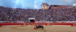 FOTOS: PABLO JAVIER GÓMEZ DEBARBIERI Andrés Roca Rey ante miles de afi cionados en Chota en el 2016. Este año, esa ciudad y Cutervo tendrán ferias taurinas de primera categoría.