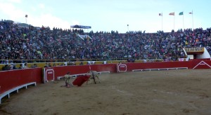 FOTO: PABLO JAVIER GÓMEZ DEBARBIERI Cutervo, llena hasta la bandera cada tarde.