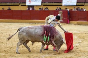 FOTO: CULTORO El 1 de junio, en Madrid, Galdós deberá torear con arte, como lo hizo el martes en Ubrique, pero también con mucha decisión.