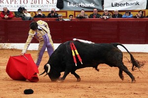 FOTO: CULTORO Andrés Roca Rey con el toro al que desorejó el domingo 5 de marzo en Olivenza.