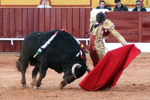 FOTO: CULTORO A El Juli se le nota este año estar preocupado, algo ciertamente muy positivo, de darle cierto aire estético a sus alardes técnicos.  