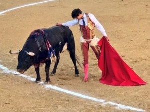 FOTO: CULTORO Andrés, herido, esperando que el toro doble. 