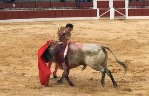 FOTO: EL MIRÓN DE SORIA Estocada de Joaquín al segundo de la tarde.