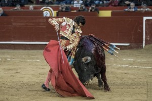 FOTO: CULTORO Curro Díaz dejó su sello de arte y clase, ayer, en la Feria de Fallas.