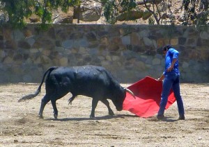 FOTO: PABLO JAVIER GÓMEZ DEBARBIERI Galdos entrena mucho en el campo; lidia toros a puerta cerrada.