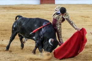 FOTO: JOSE LUIS CÁRDENAS RUIZ Joaquín Galdós toreando con clase y sentimiento al sexto toro lidiado el sábado 22, en Santa Cruz de Mudela, al que le cortó las dos orejas.