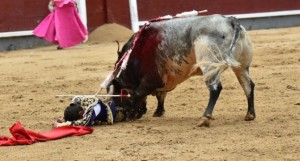 Fuerte cogida de David Galván; puntazo corrido, lesión de codo y conmoción cerebral.