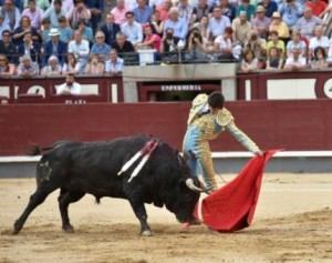 FOTO: CULTORO Castella cuajó una gran faena a 'Hebrea' de Jandilla, pero perdió las dos orejas pues la estocada quedó trasera y caída.