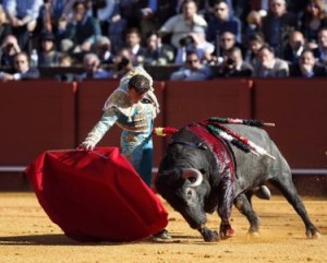 FOTOS: EMPRESA PAGÉS Antonio Ferrera ofreció una tarde muy completa el sábado con los victorinos; lidió, banderilleó, toreó con valor y gusto y dirigió la lidia.