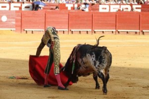 FOTO: CULTORO Magnífico natural de Andrés Roca Rey en Jerez