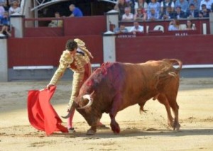 FOTO PLAZA DE LAS VENTAS Joaquín Galdós hizomun buen papel en San Isidro, a pesar de los malos toros que le tocaron en suerte.