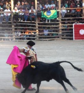 FOTO: JUAN MEDRANO CHAVARRÍA Variado en quites.