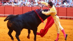 FOTO: CULTORO Rafael Serna fue cogido al entrar a matar al toro de su alternativa.