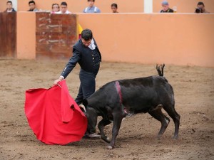 FOTO: DE BARRERA Experiencia inigualable: los aficionados delante de vacas bravas.