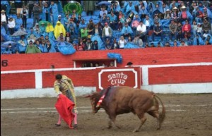 FOTO: MIGUEL ÁNGEL PARDO, PERUTOROS Alfonso de Lima, en Santa Cruz, lidiando al indultado Torrestrella.