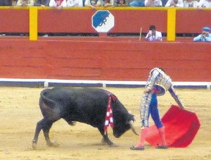 FOTO: PABLO J. GÓMEZ DEBARBIERI El peruano Carlos Cabello, poco placeado, mostró valor y ganas.