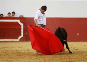 FOTO: CLUB INTERNACIONAL DE AFICIONADOS PRÁCTICOS Tranquilizaría ver fotos y videos actuales de Manzanares tentando.