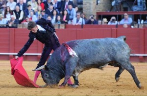 FOTOS: CULTORO Cobradiezmos, que metía la cara y araba la arena con el hocico.