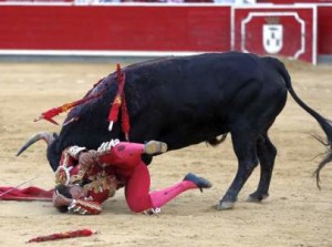 FOTO: CONTRABARRERA6 Antonio Ferrera fue cogido, en Albacete, aunque no de gravedad, el 14 de setiembre. Teniendo dos compromisos importantes en Madrid, dijo no estar recuperado y no se presentó. ¿Será algo fisico o anímico lo que lo indujo a no torear en Las Ventas?