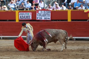 Adame no redondeó con el estoque su buena faena al segundo toro. 