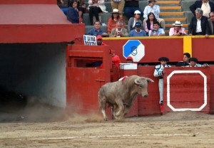 14 Forjador 6to toro