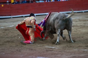 Exigentes doblones de Del Álamo al sexto. ¿Condicionaron esos doblones la posterior duración del toro? 