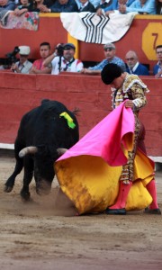 Blog Foto Pag Toros public 8 ene 2018 (opcion 2)