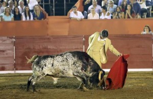 FOTO: WILLIAM CANALES Natural de Castella al buen burraco.