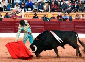 FOTO: PLAZA DE OLIVENZA Andrés Roca Rey, ayer en Olivenza, en un derechazo de mano baja a su primer toro, al que cortó una oreja tras una buena faena.