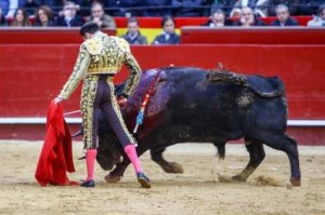 FOTO: PLAZA DE VALENCIA El toreo evoluciona, pero los toros se seleccionan en consecuencia; muletazos así hubieran sido impensables hace cien años.