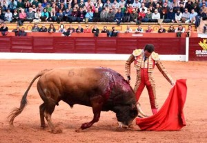 FOTO: PLAZA DE OLIVENZA Ponce dictó ayer en Olivenza una clase magistral de tauromaquia.