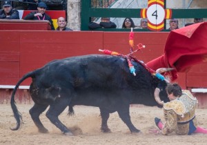 FOTO: PLAZA DE VALENCIA Román, que será protagonista en la temporada de 2018, fue corneado en Valencia.