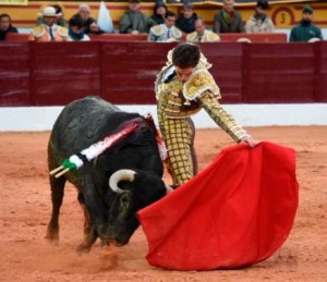 FOTO: PLAZA DE OLIVENZA Ayer en Olivenza, Ginés Marín con uno de Victorino.