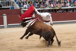 Luego, ajustadamente, por la espalda.