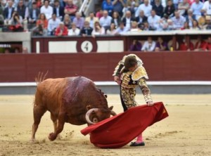 FOTO: LUIS SÁNCHEZ OLMEDO - CULTORO El Juli en un templado natural al codicioso y bravo ‘Licenciado’ de Alcurrucén.