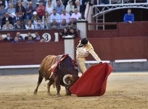 FOTO: LUIS SÁNCHEZ OLMEDO, CULTORO Talavante estuvo a punto de abrir la Puerta Grande de Madrid.