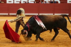 Andrés Roca Rey, con inteligencia y perspicacia, logró extraer la clase del toro de Núñez del Cuvillo.