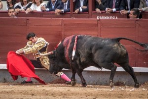 FOTO: PLAZA 1 Cayetano Rivera Ordóñez inició su faena al tercero sentado en el estribo.