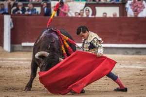 FOTO: PLAZA 1 Galdós llevó el toro a los medios dandole recorrido pero el toro no soportó luego la exigencia del toreo en redondo.