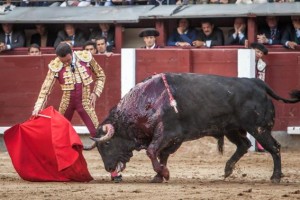 FOTO: LUIS SÁNCHEZ OLMEDO - CULTORO El miércoles 30 de mayo, Ponce dio una lección de tauromaquia en Madrid.