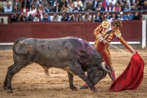 FOTO: PLAZA 1 Román estuvo valiente y decidido, especialmente en el sexto toro.