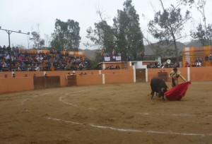 Los naturales de Emilio Serna al tercer toro.