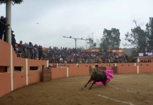 FOTOS: PABLO JAVIER GÓMEZ DEBARBIERI Los afi cionados que asistieron quedaron satisfechos con la Corrida de la Independencia; verónicas de Emilio Serna al tercero.