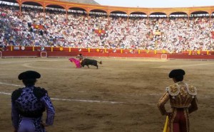 FOTO: PABLO JAVIER GÓMEZ DEBARBIERI La Feria del Señor de los Milagros 2018 tendrá una novillada y cinco corridas de toros, se espera que con edad y trapío.