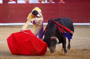 FOTO: EMILIO MÉNDEZ - CULTORO David Mora y Entomólogo, de Torrehandilla, indultado en Estella.