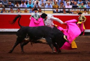 FOTOS: EMILIO MÉNDEZ - CULTORO Roca Rey sometió al complicado sexto toro, el viernes 24 en Bilbao, y con su fuerza de voluntad y valor cambió el resultado de la corrida