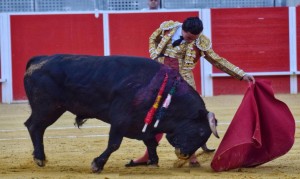 FOTO: A. SEVILLANO Joaquín Galdós triunfó, el sábado, en Llerena, Badajoz.: 