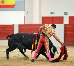 FOTO: MARTA VERDUGO Derechazo de Joaquín Galdós, ayer en Las Rozas.