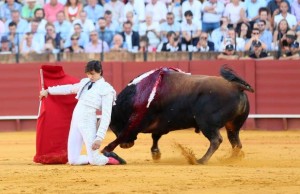 FOTO: CULTORO Tras recibir Andrés Roca Rey, a su primer toro de esa forma, el astado de Matilla se rajó y además se partió una pata, lo que frustró todo lo que el peruano pudiera intentar hacer.